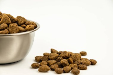 Beyaz arka planda kurutulmuş hayvan maması. Evcil hayvan mamasıyla metal bir tabak. Reklam afişi. Yüksek kalite fotoğraf