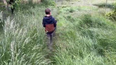 Arka plan: bir çocuk bir çim tarlasında bir köpekle yürüyor. Bir çocuk tasmalı bir köpeğe liderlik ediyor. Yüksek kaliteli FullHD görüntüler