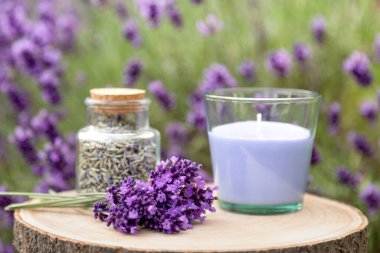 Lavanta Mum ve Kurumuş Çiçekler Kırsalda. Yüksek kalite fotoğraf