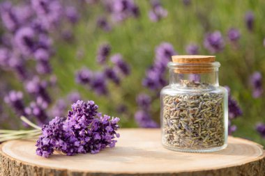Kurutulmuş lavanta ve taze lavanta çiçekleriyle dolu cam kavanoz. Yüksek kalite fotoğraf