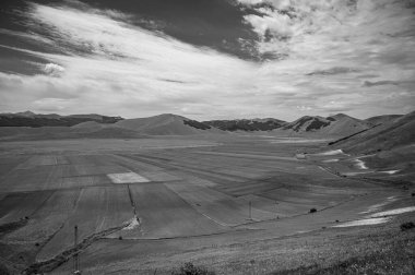 Castelluccio di Norcia platosunun çiçekli siyah beyaz fotoğrafı, ulusal park Sibillini dağları, İtalya 
