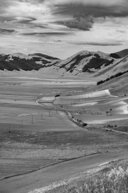 Castelluccio di Norcia platosunun çiçekli siyah beyaz fotoğrafı, ulusal park Sibillini dağları, İtalya 