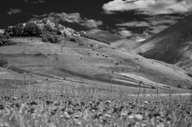 Castelluccio di Norcia platosunun çiçekli siyah beyaz fotoğrafı, ulusal park Sibillini dağları, İtalya 