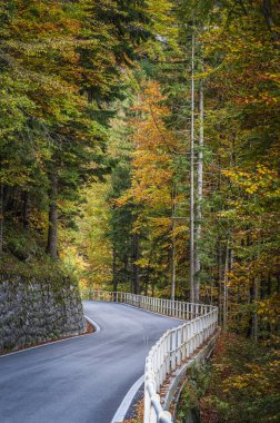 Sonbaharda dağlarda asfalt yol