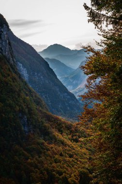Güzel sonbahar manzarası dağlarda