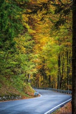 Sonbaharda dağlarda asfalt yol