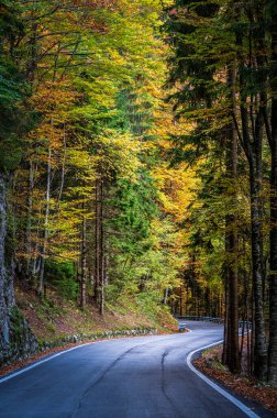 Sonbaharda dağlarda asfalt yol