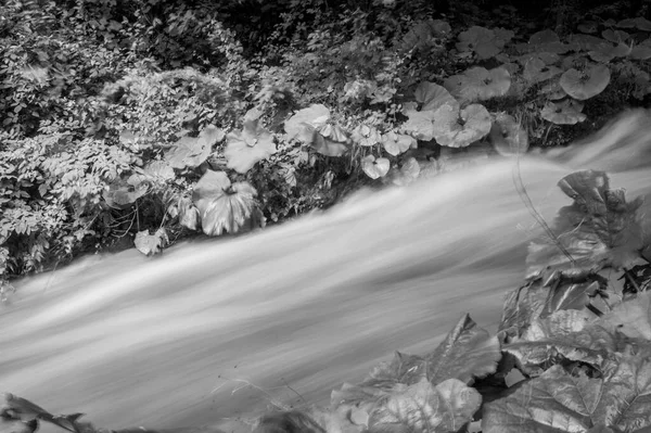 Черно Белая Фотография Водопада Каската Делле Марморе Marmore Falls Рукотворный — стоковое фото