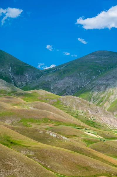 Blütezeit Des Castelluccio Norcia Plateaus Nationalpark Sibillini Berge Italien — Stockfoto