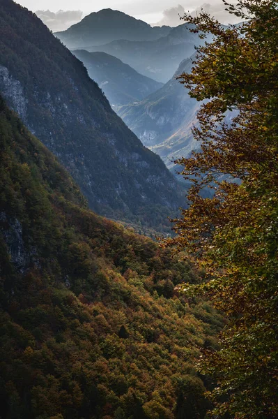 Красивый Осенний Пейзаж Горах — стоковое фото