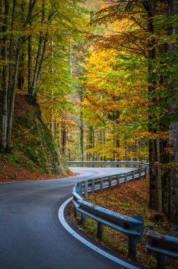 Sonbaharda dağlarda asfalt yol