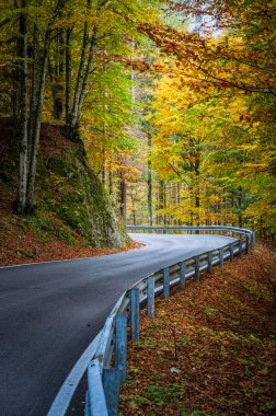 Sonbaharda dağlarda asfalt yol