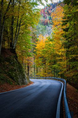 Sonbaharda dağlarda asfalt yol