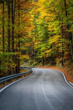 Sonbaharda dağlarda asfalt yol