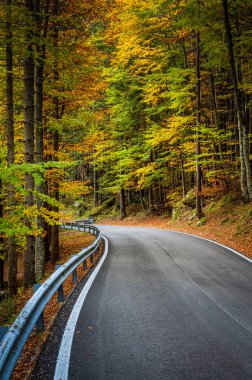 Sonbaharda dağlarda asfalt yol