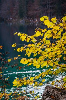 Güz mevsiminde güzel Fusine Gölleri, Friuli Venezia Giulia bölgesi, İtalya