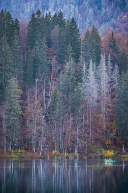 Güz mevsiminde güzel Fusine Gölleri, Friuli Venezia Giulia bölgesi, İtalya