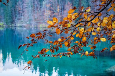 Güz mevsiminde güzel Fusine Gölleri, Friuli Venezia Giulia bölgesi, İtalya