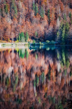 Güz mevsiminde güzel Fusine Gölleri, Friuli Venezia Giulia bölgesi, İtalya