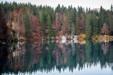 Güz mevsiminde güzel Fusine Gölleri, Friuli Venezia Giulia bölgesi, İtalya