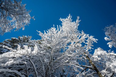 Fusine göllerinin güzel kış manzarası, İtalya