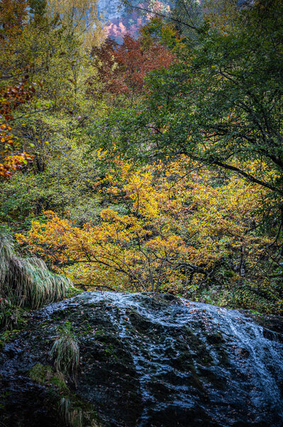 beautiful waterfall in the mountains