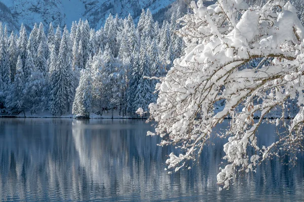 Krásná Zimní Krajina Fusine Lakes Itálie — Stock fotografie