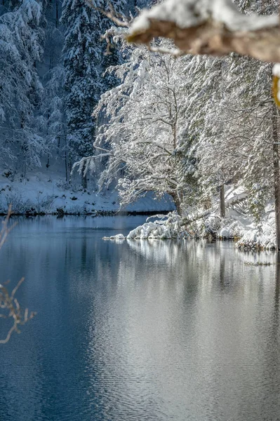 Bellissimo Paesaggio Invernale Dei Laghi Fusine Italia — Foto Stock
