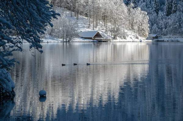 意大利Fusine湖美丽的冬季风景 — 图库照片