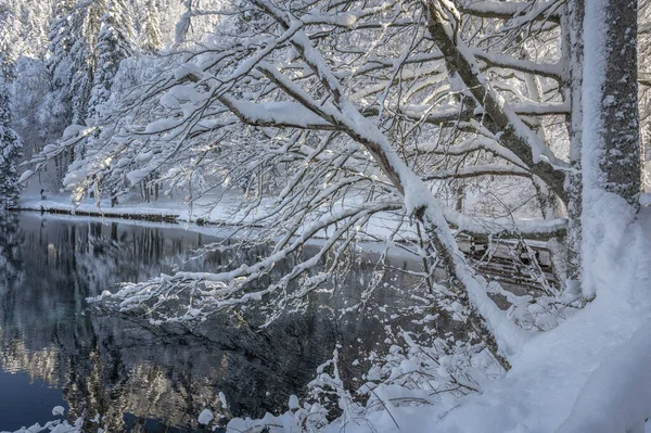 Krásná Zimní Krajina Fusine Lakes Itálie — Stock fotografie