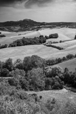 Toskana manzarasının siyah-beyaz güzel manzarası 