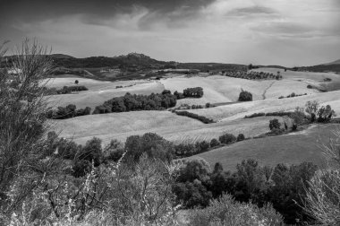 İtalya, Montepulciano 'da tarlaları ve ağaçları olan güzel bir manzara. 