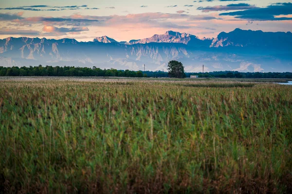 stock image beautiful landscape with mountains, grassy meadow and Marano Lagoon, Italy