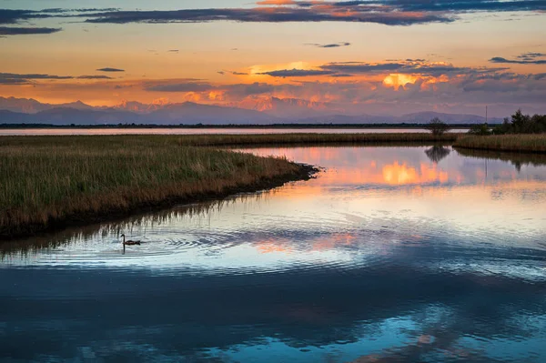 stock image beautiful view of Marano Lagoon, Italy