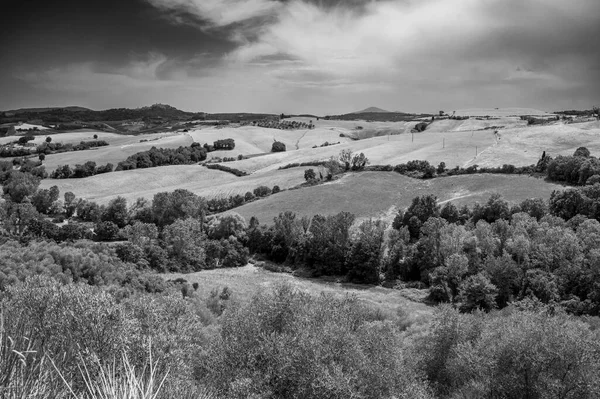 Prachtig Uitzicht Het Toscaanse Landschap Zwart Wit — Stockfoto