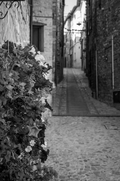흰색으로 스펠로 움브리아의 마을의 — 스톡 사진