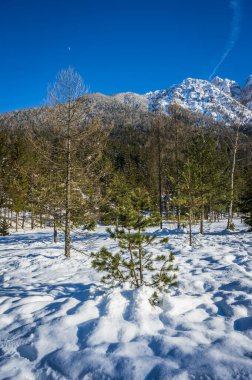 Kranjska Gora 'daki kış yansımaları ve peri masallarındaki evler. Slovenya