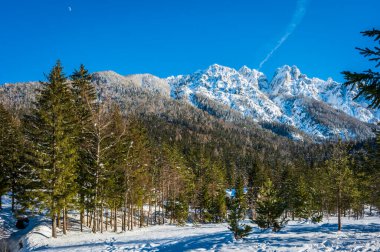 Kranjska Gora 'daki kış yansımaları ve peri masallarındaki evler. Slovenya