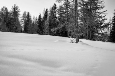Karlı La Val, Alta Val Badia, Güney Tyrol, İtalya