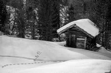 Karlı La Val, Alta Val Badia, Güney Tyrol, İtalya