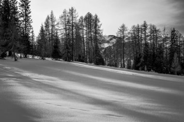 Karlı La Val, Alta Val Badia, Güney Tyrol manzaralı bir sahne. İtalya