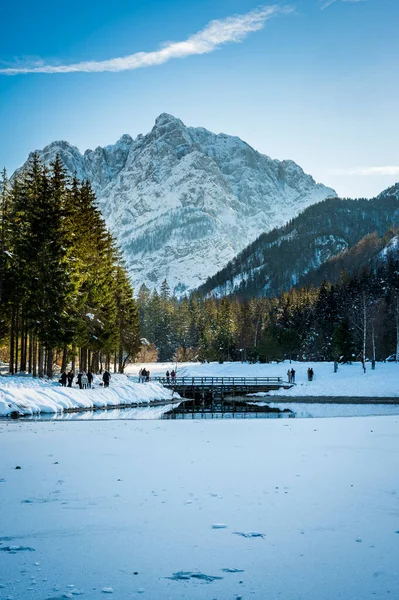 Зимние Размышления Сказочные Домики Краньска Гора Словения — стоковое фото