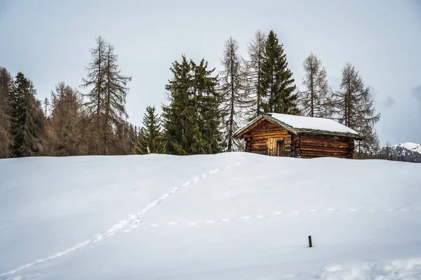 Schilderachtige Opname Van Besneeuwde Val Alta Val Badia Zuid Tirol — Stockfoto