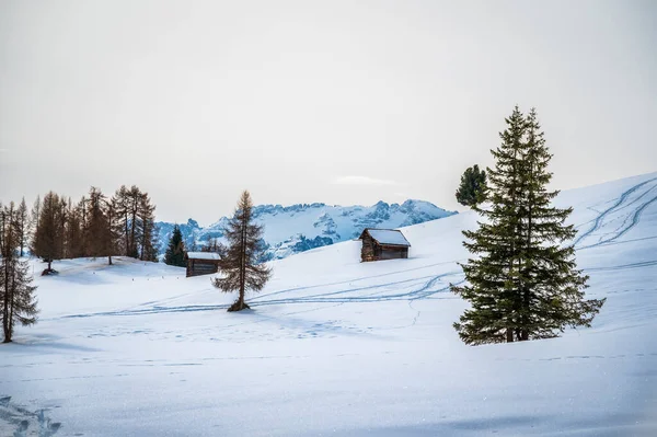 Сцена Снежного Валя Альта Валь Бадия Южный Тироль Италия — стоковое фото