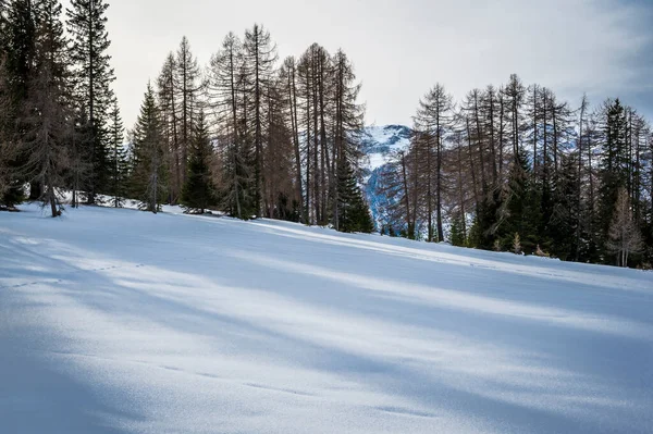 南蒂罗尔Alta Val Badia的La Val雪地风景照片 意大利 — 图库照片