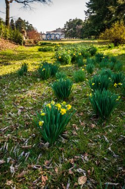 Villa Manin, Venedik Valisi 'nin eski konutu. Günbatımının renkleri. Passariano, Codroipo