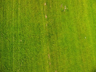 Güneşli bir günde güzel Valbruna 'nın manzarası.