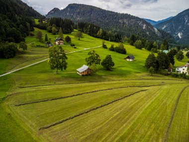 Güneşli bir günde güzel Valbruna 'nın manzarası.