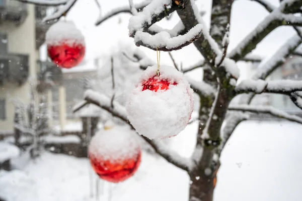 意大利圣坎多市街道上覆盖着雪的圣诞装饰特写 — 图库照片