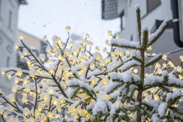 Stock image close-up shot of tree with Christmas lights on snow covered street